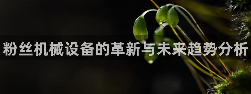 鸿运赌城开户平台