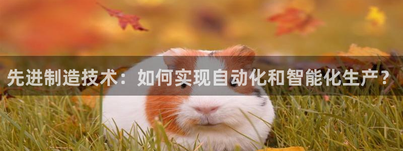 鸿运华宁技术平台