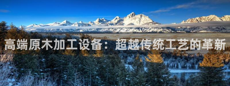 鸿运彩票平台登录不了