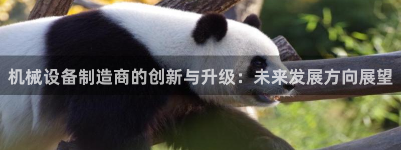 鸿运滚滚抽奖平台