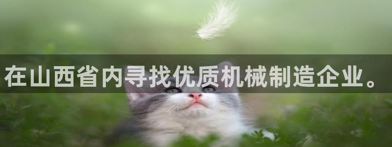 鸿运当头借贷平台