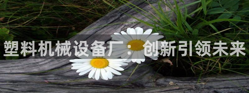 鸿运当头翡翠平台