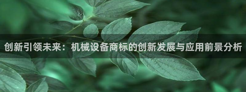 鸿运彩 票诈骗平台