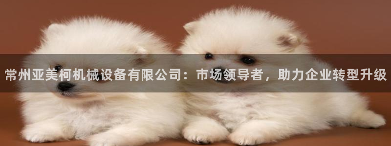 鸿运策略股票平台骗局