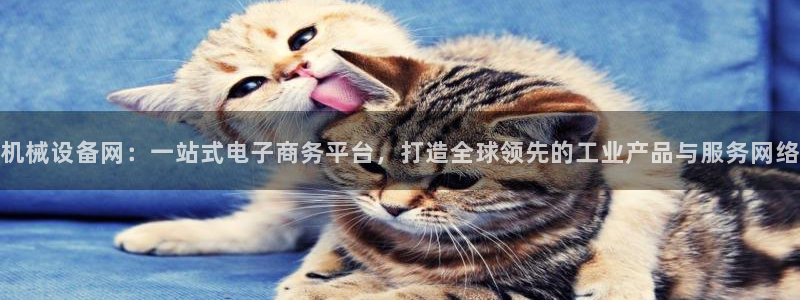 鸿运官网平台登录