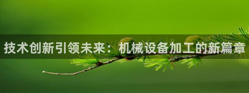 盛世鸿运是什么平台