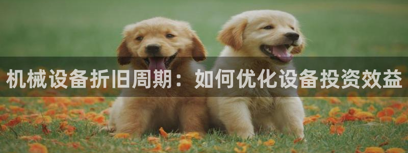 鸿运彩票专业购采平台