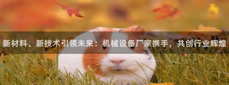 鸿运app直播平台