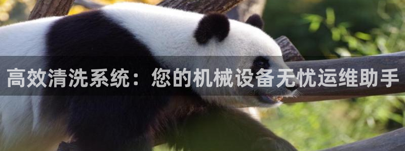 鸿运推单平台