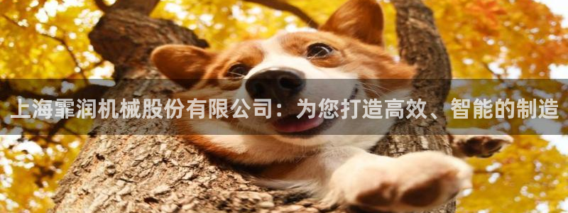 鸿运宝金融投资平台