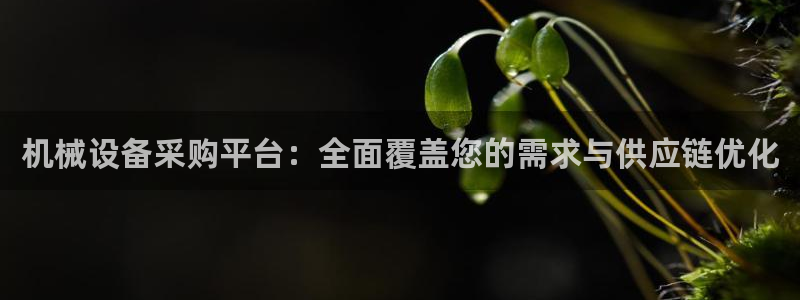 鸿运合拍字画拍卖平台