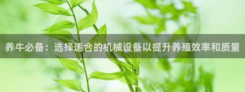 鸿运授权平台