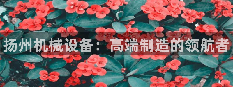 鸿运开的平台