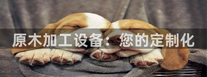 鸿运平台官方