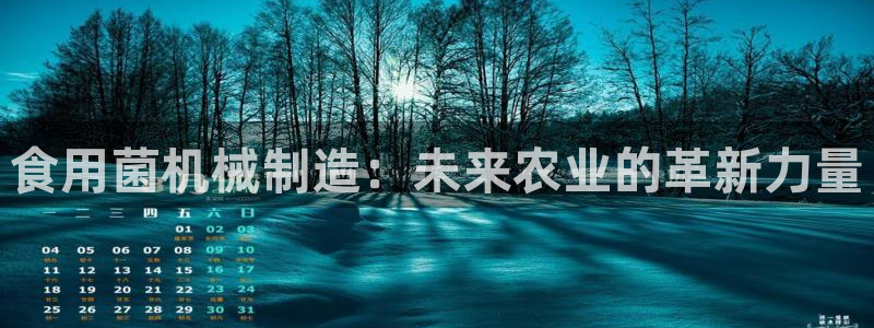 鸿运直播平台安卓版