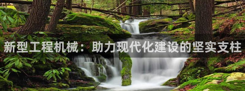 鸿运28投注平台