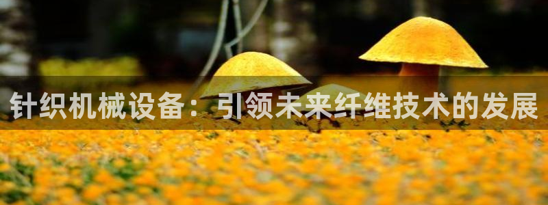 琥珀鸿运是个国际平台吗