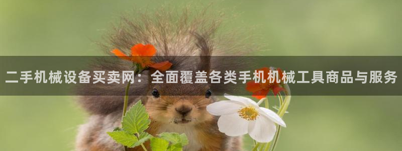 鸿运平台刷流水
