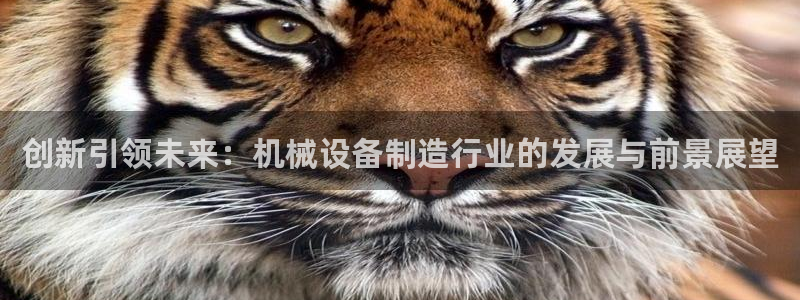 鸿运网上平台