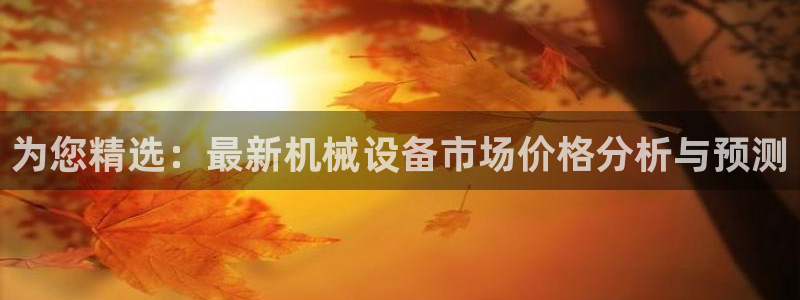 鸿运平台投资诈骗