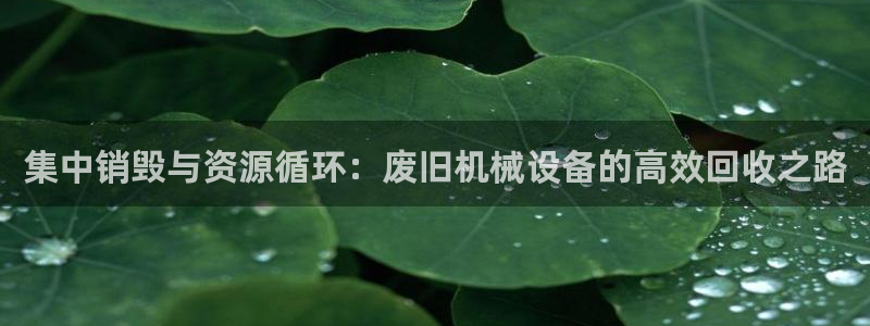 鸿运平台代理理