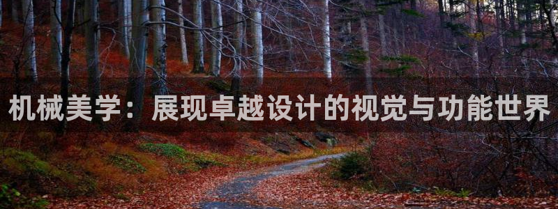 琥珀鸿运彩票平台靠谱吗