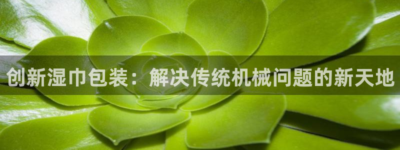 鸿运链锁管理平台